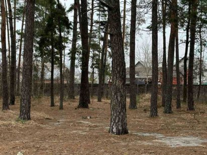 Пейзаж! Гарна ділянка в Плесецькому Плесецьке