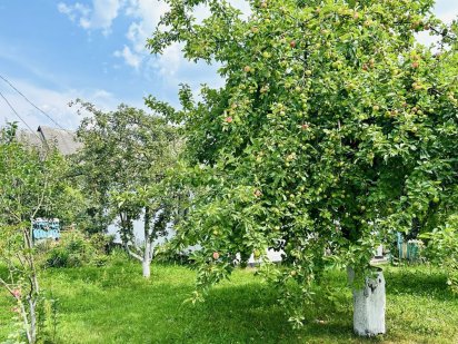 Земля сад оренда продаж