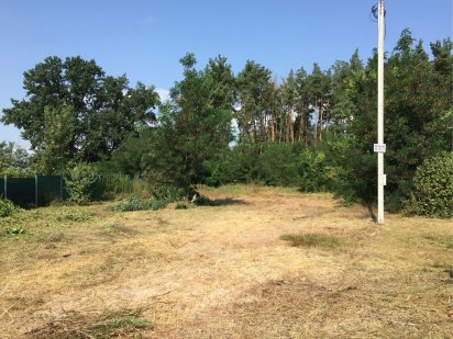 Процев Виход в Лес!