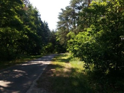 Земельна ділянка 16 соток в лісі с. Проців під будівництво Проців