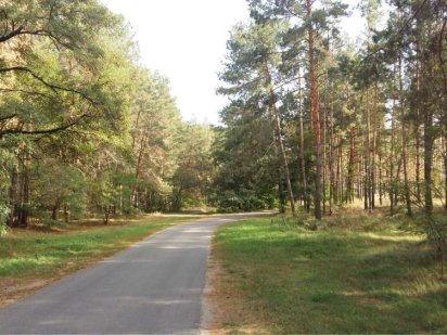 Проців! Хвойний Ліс! Неповторна ділянка для Будинку Вашої Мрії! 57000$