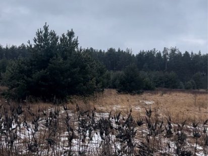 Продам 3,5 Га під базу відпочинку Коттеджне містечко Проців Процев