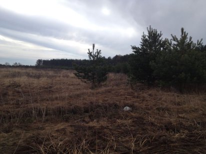 Продажа земли Процев