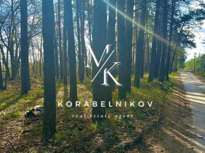 Затишна ділянка у лісі серед соснових дерев та дубів Плюти Конча-Заспа