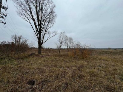 Без комісії ! Продаж ділянки Проців 5,64 га Процев