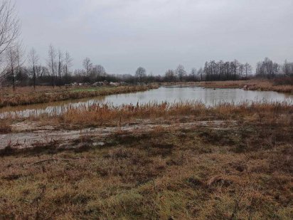 Продаж ділянки під забудову 1,5 га, Проців, Бориспільський р-н