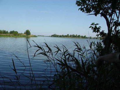 Участок с выходом на большую воду на Большой Дамбе (Плюты,  Козин)