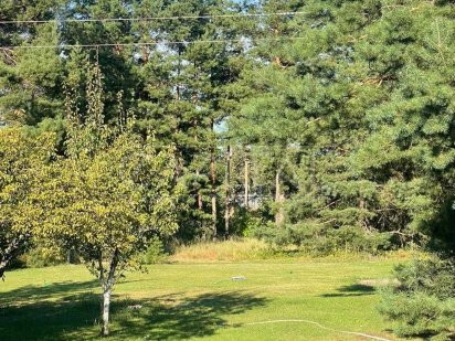 Продажа / Земельна ділянка з Лісом / Дамба / Козин / Плюти