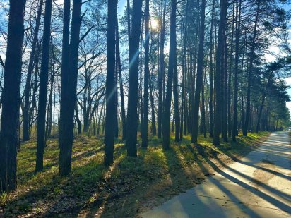 Плюти 20 соток під забудову у сосновому лісі. Газ, ел-во, асфальт.