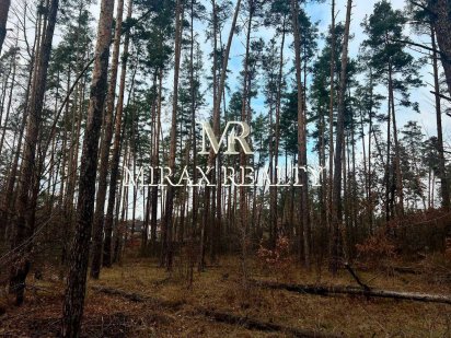 Продаж елітної ділянки 30 соток сосновий ліс Плюти Конча-Заспа Плюты