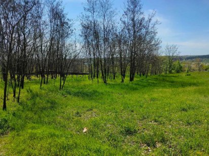 Продаю 14 сот видові на пагорбі с Путрівка. До Василькова 3км. Одеська