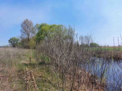 Продаж земельної ділянки 2 га під забудову, котеджі, Проців, Київ.