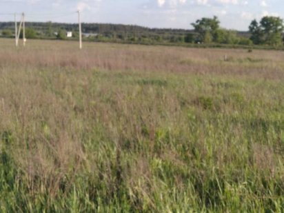 Продам терміново! Земельна ділянка 10с під забуд., с. Рожівка,Стуса 5 Рожевка