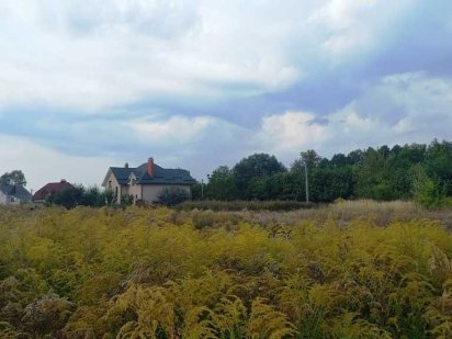 Пухівка 15 соток на житловій вулиці, електрика Пухівка