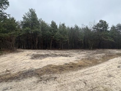 Земельна ділянка з виходом в ліс Рожевка