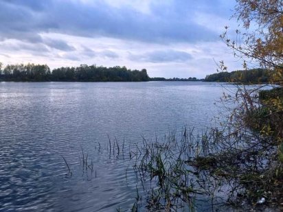 Пухівка, ділянка 10 соток біля Десни, під забудову Пухівка