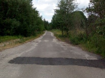 Ділянка в с Рожни напроти лісу!