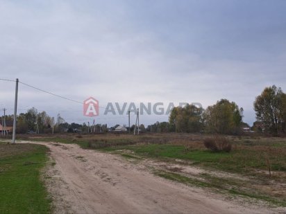 Продаж земельної ділянки, Київська область, с. Рожни Рожны