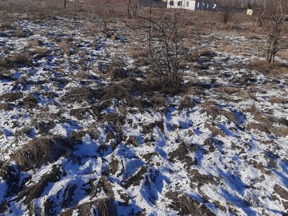 Продам земельну ділянку Рожны