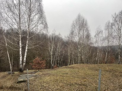 Продаж земельної ділянки