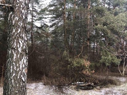 Продам дві земельні ділянки в с.Рославичі загальною площею 0,62 га (0, Рославичи