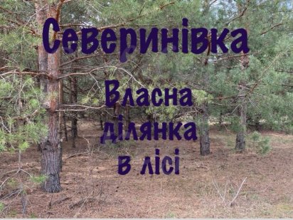 Продам Земельну ділянку 110 сотих, В ЛІСІ, серед СОСЕН,Природа, 22кмКї