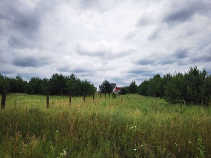 4,46 га под строительство в Севериновке Северинівка