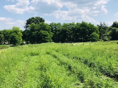Рівна земельна ділянка з асфальтним під‘їздом