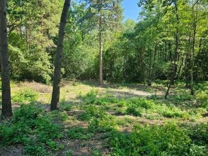 Продаж земельної, площа 0,7425 га, Київська обл.