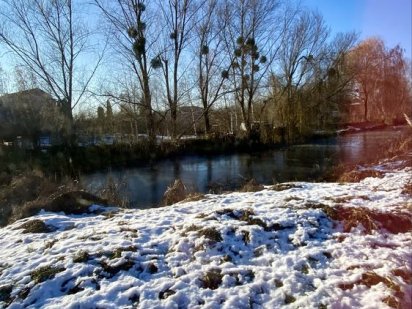 23 сотки біля води с. Ст. Безрадичі, Новообухівська траса Старі Безрадичі