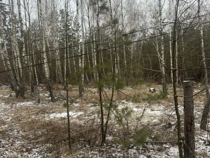 Продаж земельної ділянки в Лісі с.Старі Петрівці