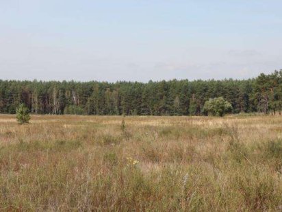 Продам свой участок в Старых Петровцах Старые Петровцы