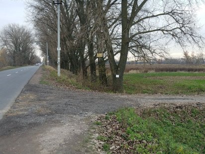 Требухів вул. Лугова