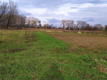 Продам участок під забудову Требухов