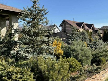 Требухів продаж класної земельної ділянки.