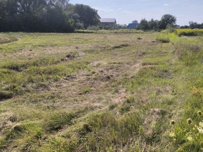 Земельна ділянка Требухів