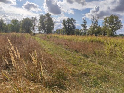 Земля під промислову забудову c. Требухів