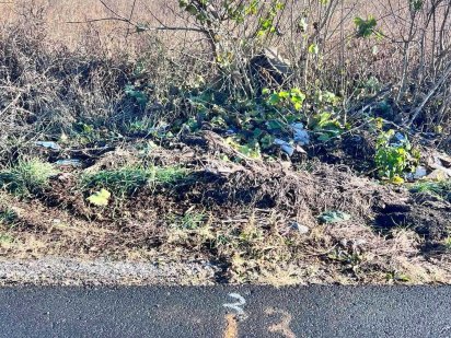 Земельна ділянка Фурси