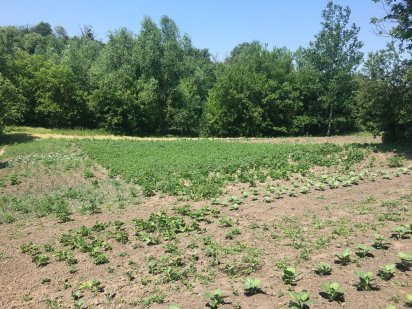 Продам участок Село Фурси Фурси