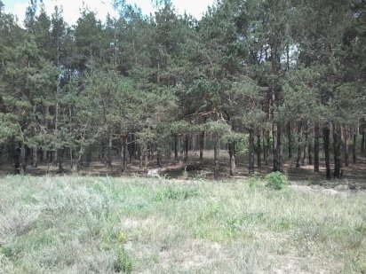 Продам власну земельну ділянку у с. Хотянівка