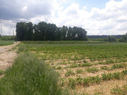 Продаж землі для  ведення товарного с/г виробництва! Хотов