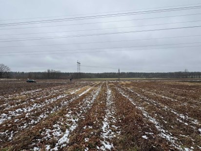 Без комісії Земельна ділянка 1,25 Га (125 соток) в селі Хотів Хотов