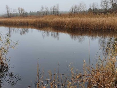 продам участок 1,3 га на берегу озера Глядин под Киевом