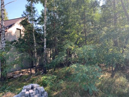 Продається екзотична ділянка з лісом у котеджній забудові!