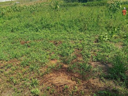 Земельна ділянка біля озера в с. Хотів, вул .Партизанська Хотів