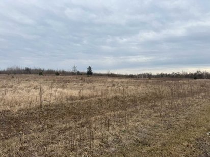 Продаж земельної ділянки с.Чайки 2,5 га Чайки