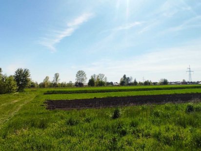 Продаж ділянки 24 сот. в с. Хотянівка, Вишгородського району.