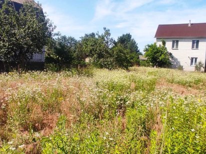 Продаж ділянки у с. Хотянівка вздовж лісу Хотяновка