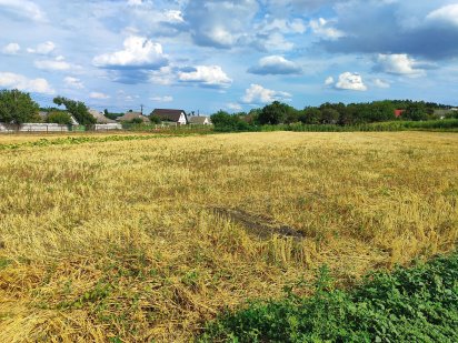 Продам земельну ділянку в селі Шкарівка Шкарівка