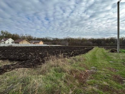 Продаж Земельна ділянка Шкарівка